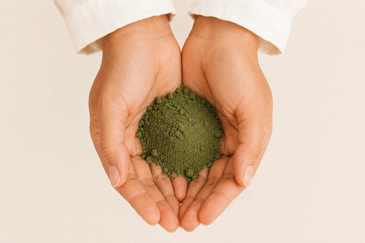 KOVA Renew clean ingredients